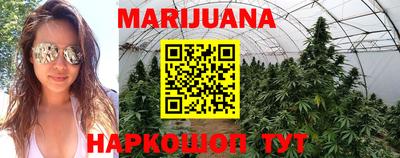 ПСИЛОЦИБИНОВЫЕ ГРИБЫ Коммунар
