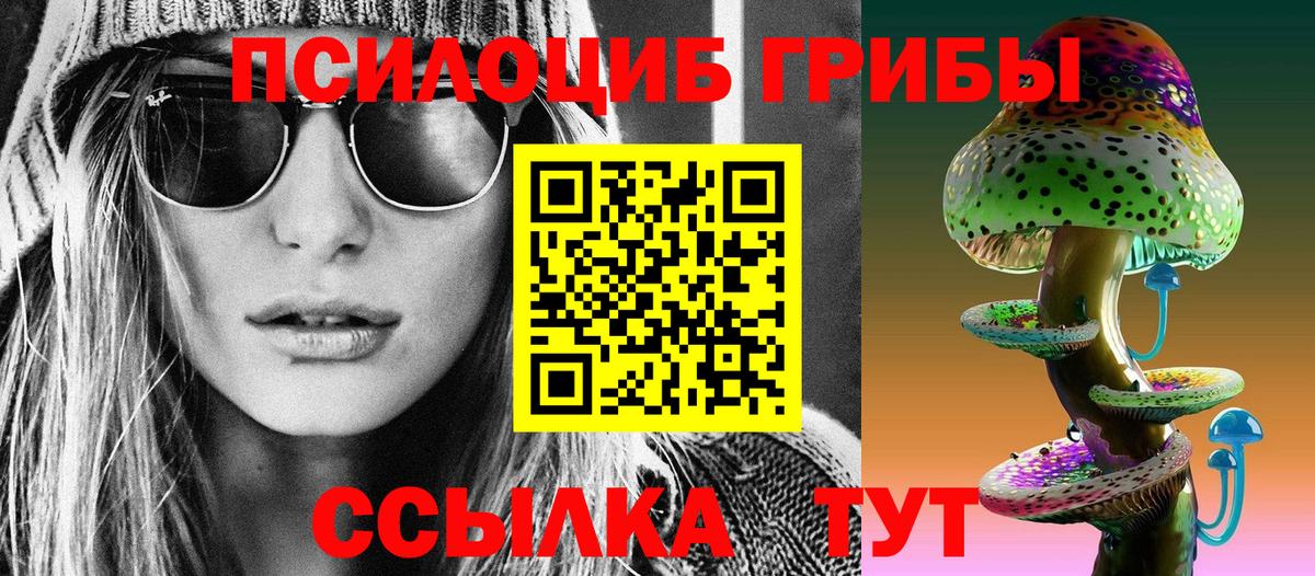Ковров  Псилоцибиновые грибы GOLDEN TEACHER  Вход с VPN 